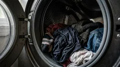 洗濯後に放置すると何時間で臭う 20〜30分ルールで生乾き臭を防ぐ