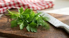 免疫力を高める春の食材5選：食事に取り入れたいもの