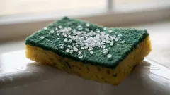 スポンジに塩をふりかけてみたら、その仕上がりに大満足！ 知っておきたい便利な裏ワザ